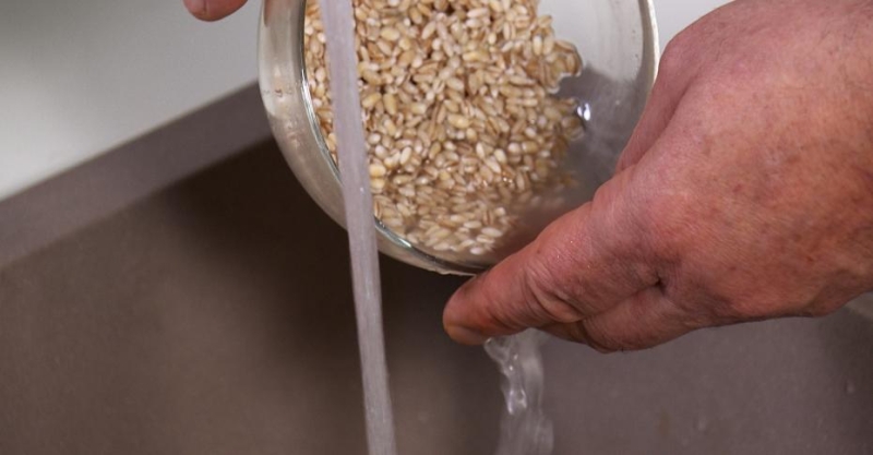 Каша из гречки, перловки, пшена, риса с мясом