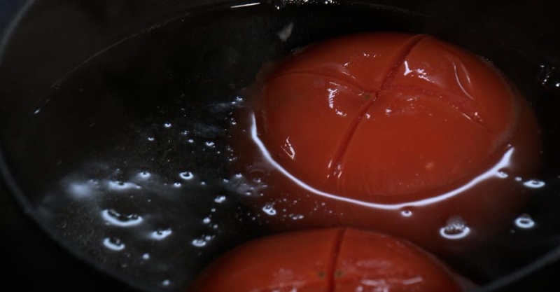 Моцарелла в помидорах