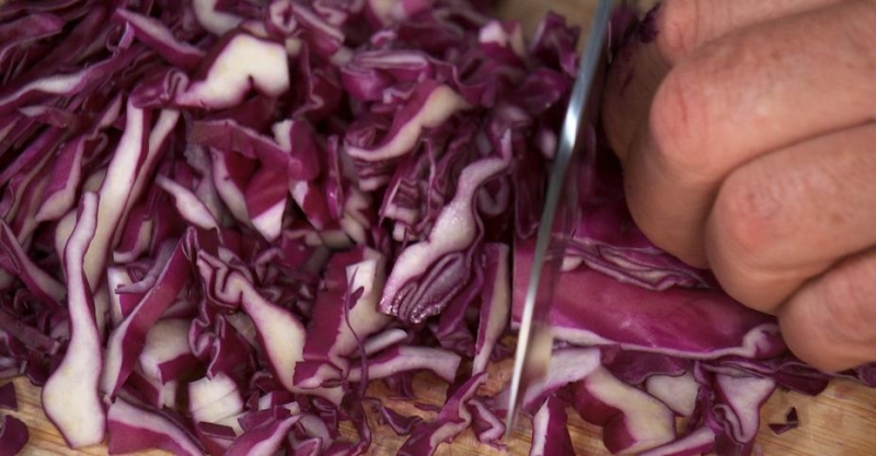 Утка с краснокочанной капустой